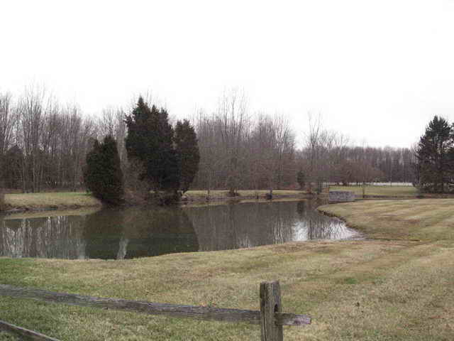 Starlite Drive-In Theatre - 2006 Photo